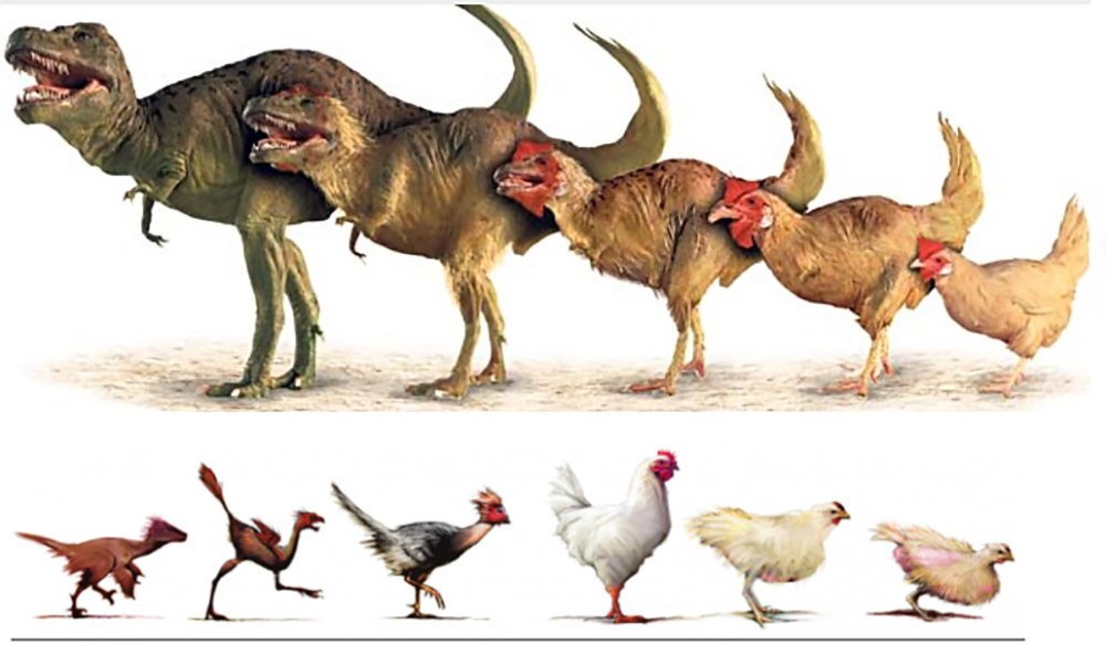 霸王龙|如果地球上突然出现7800万只霸王龙，人类将会遭遇什么灾难？