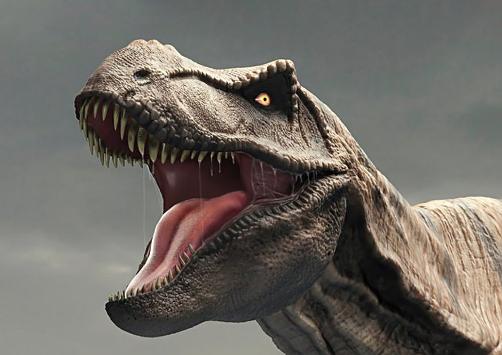 霸王龙|如果地球上突然出现7800万只霸王龙，人类将会遭遇什么灾难？