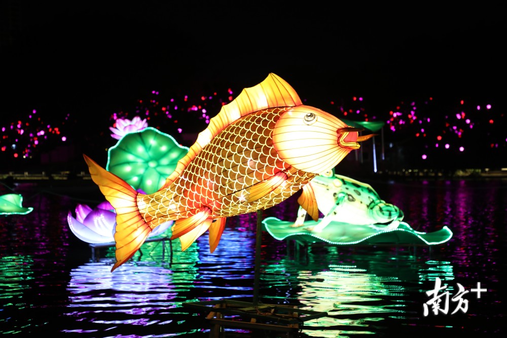今年茂名的花灯造型,色彩各异,"我差不多逛完茂名市区的公园,广场里的