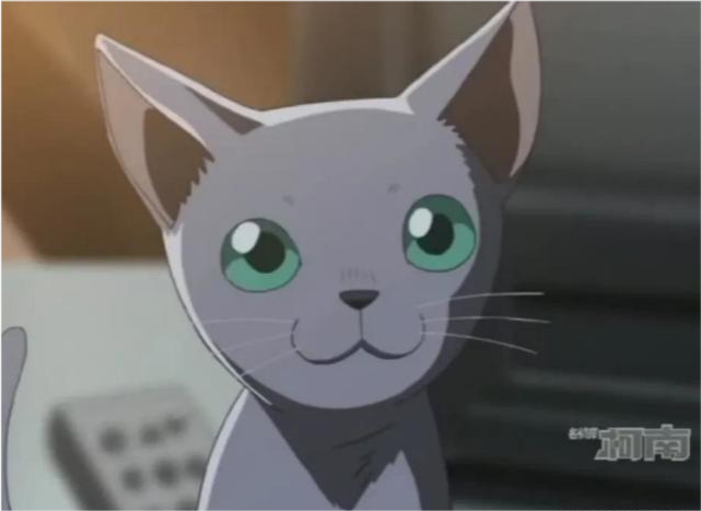 名侦探柯南:才貌双全的帝丹女王,头号美人律师妃英理逸事