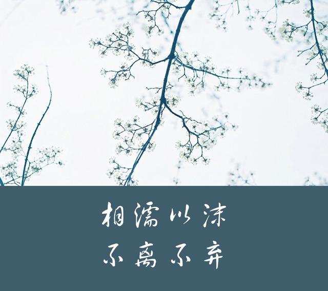 平平淡淡才是真,相濡以沫更是情