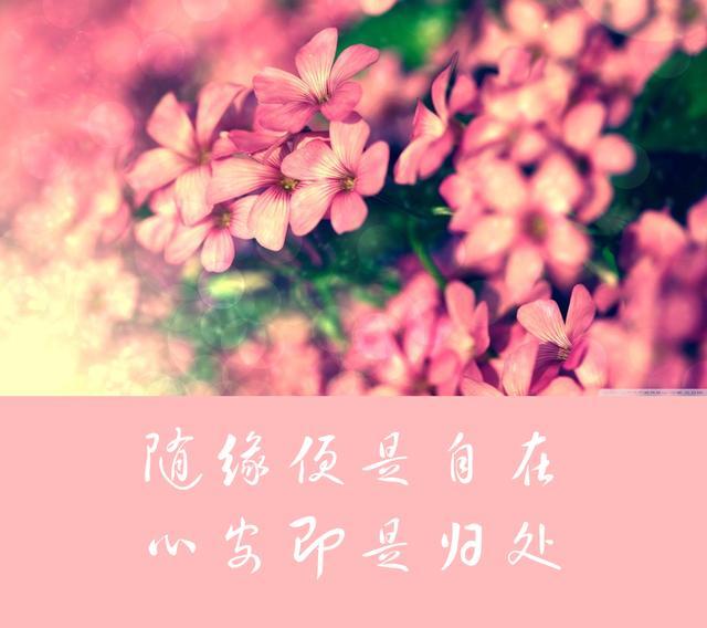 花开自美,静赏花落,花落无伤,无需感物伤怀,无需长叹短息,要随心自在