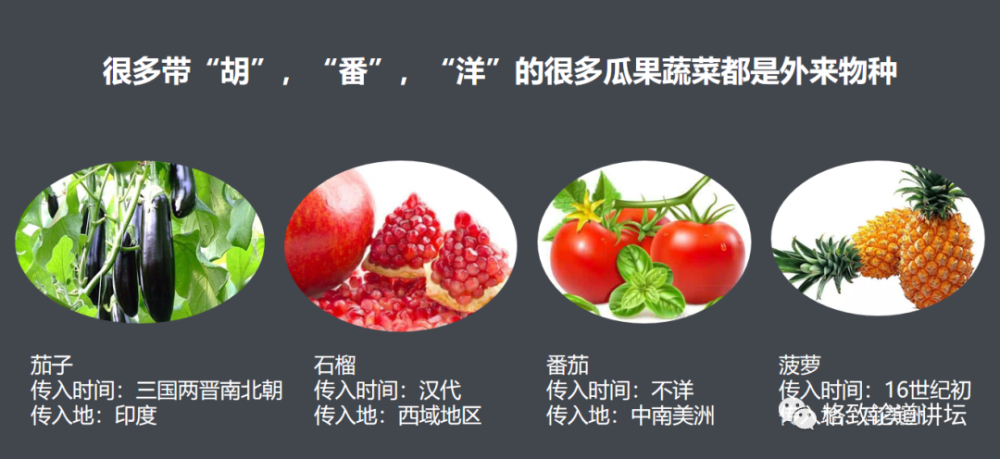 物种|这些外来入侵物种，是第六次物种大灭绝的重要元凶