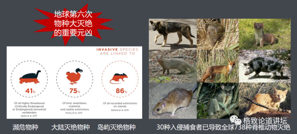 这些外来入侵物种是第六次物种大灭绝的重要元凶