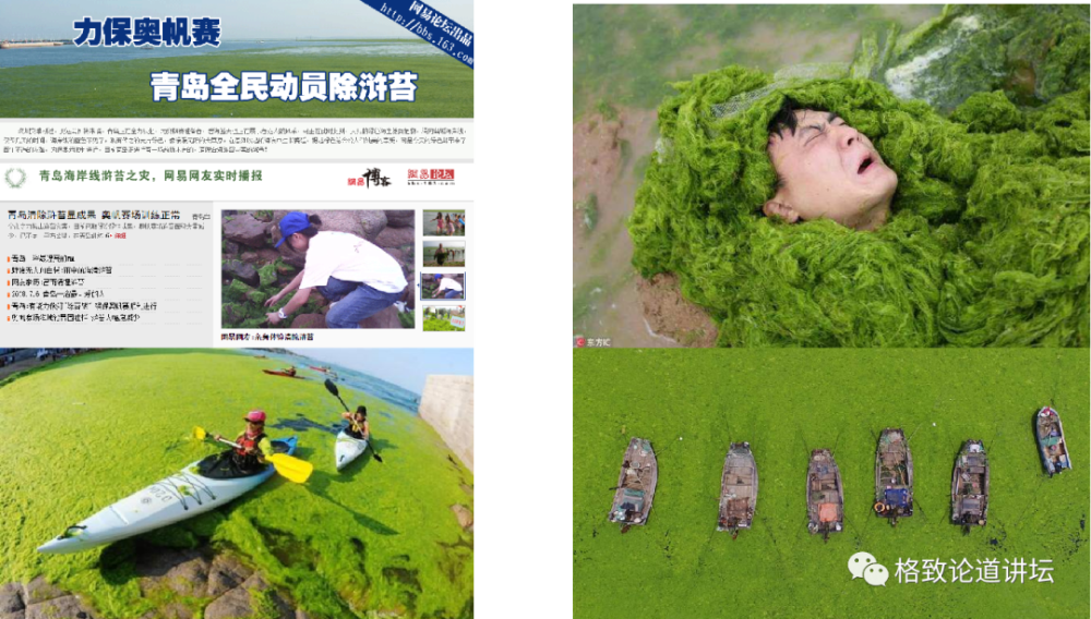 物种|这些外来入侵物种，是第六次物种大灭绝的重要元凶