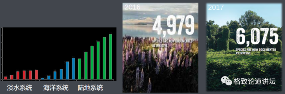 物种|这些外来入侵物种，是第六次物种大灭绝的重要元凶
