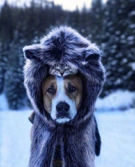 寒潮来袭在这个60年一遇的寒冬里南方人只能靠抖腿取暖