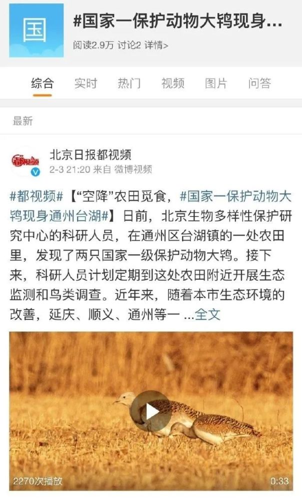 北京|近就是硬道理？拍大鸨的北京大爷们，该克制一点了