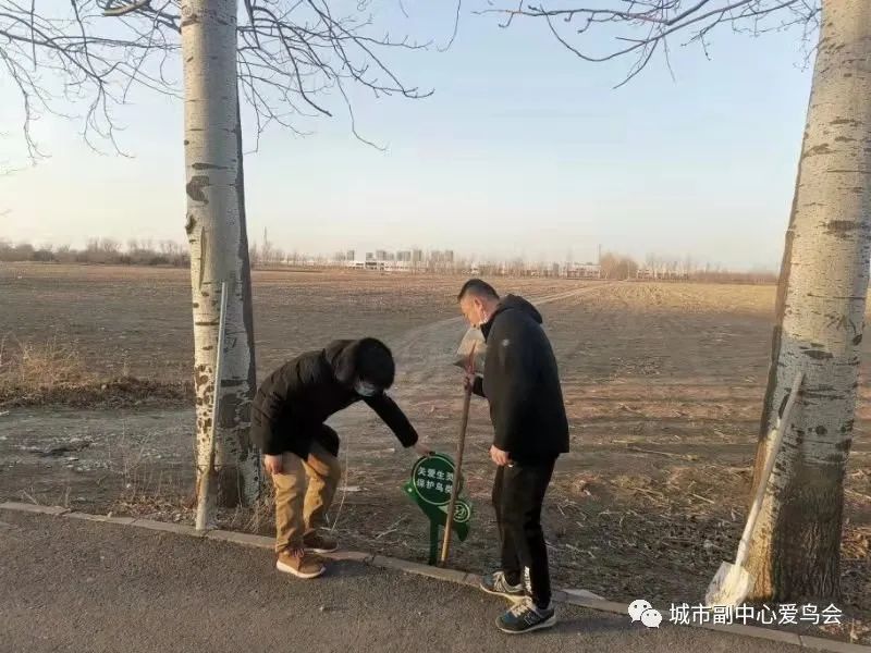 北京|近就是硬道理？拍大鸨的北京大爷们，该克制一点了