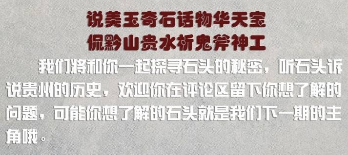 海百合|石头侃贵州｜似含苞的荷花，如绽放的百合，海百合化石为何长成这般模样？