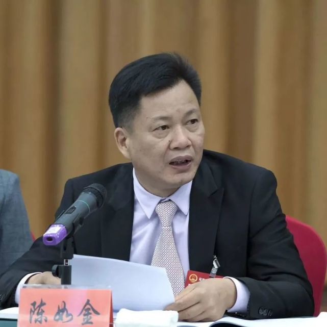 全省法院院长会议代表委员感言二