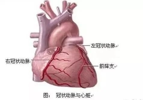 科普知識心臟冠狀動脈造影你知多少