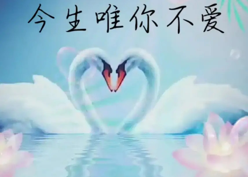 演绎出一份刻骨铭心的爱,爱着你宛如赴一场红尘旧梦,有你真好,我是