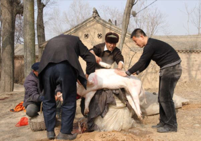 农村人为什么选择过年杀猪吃肉,而不是买猪肉吃?