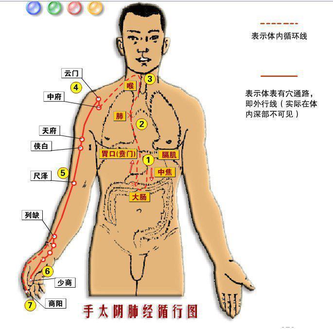 肺经的一般养身保健知识你知道哪些呢