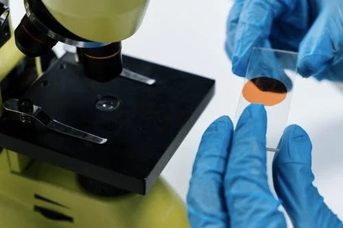 人类基因组计划|Science封面｜人类基因组工作草图发布20周年，待解的9大问题