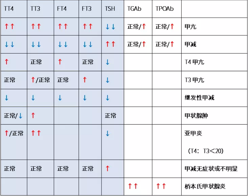 甲亢|代文新解析：甲状腺出现“疲劳”或“油门全开”会怎样？