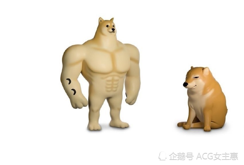 当表情包被制成手办后肌肉柴犬的逆袭