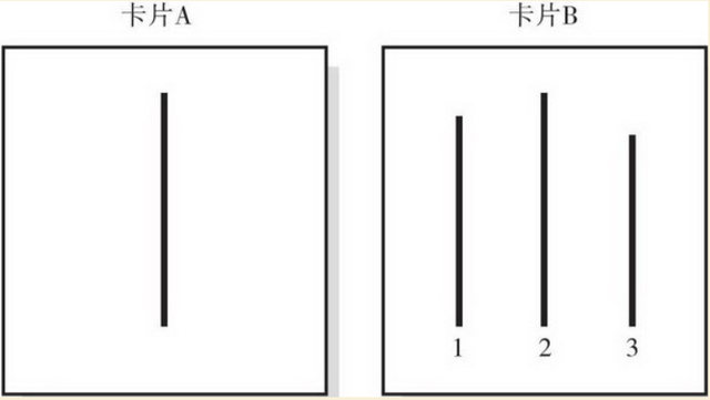 所罗门·阿施|面对大多数，你能做到不成为乌合之众吗？