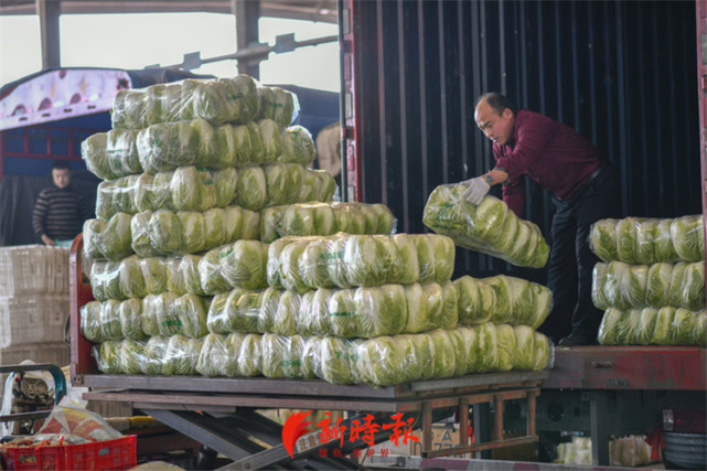 批发市场日销蔬菜上千吨,停满数百辆送菜大货车