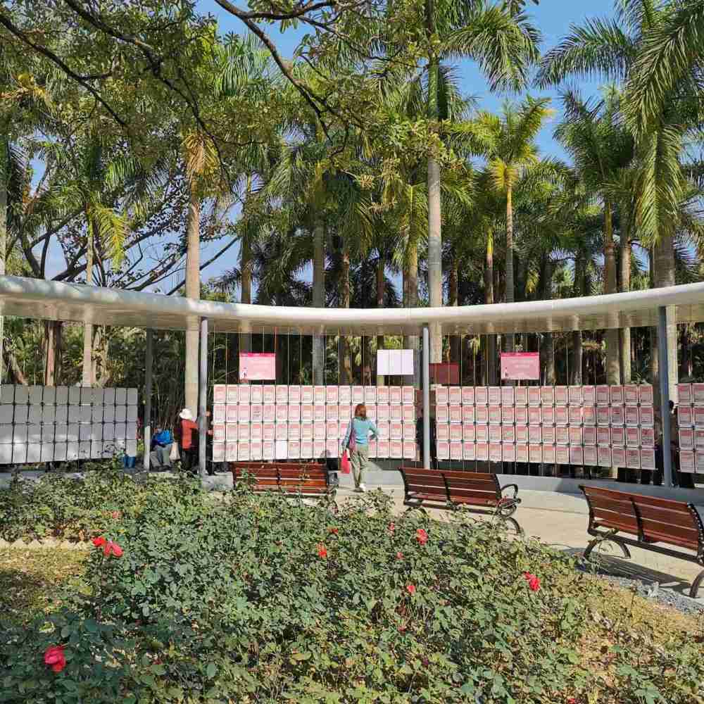 深圳莲花山公园相亲角环境变优美了,怎么在那里发布征婚表?_腾讯新闻