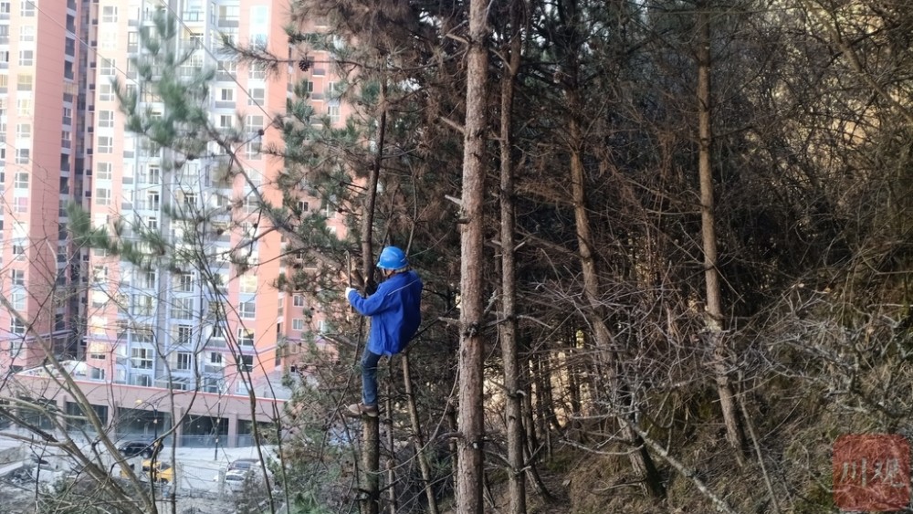 马尔康市人口_四川19个县级市城区人口:西昌最多,江油多于简阳,马尔康最少