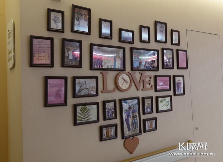 河北生殖妇产医院妇科休养区的照片墙,非常温馨.记者 吴新光 摄