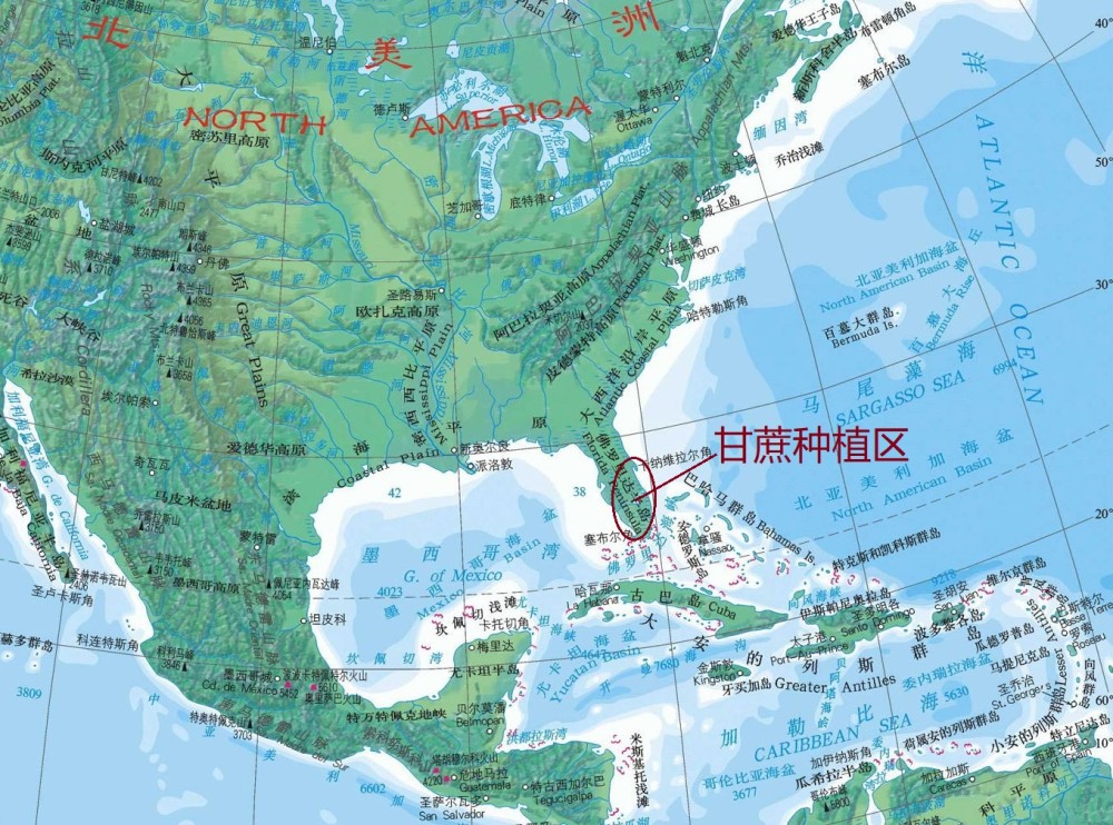 甘蔗|美国佛罗里达的蔗农，为什么会在甘蔗成熟季节放火烧甘蔗田呢？