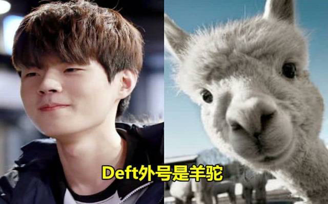 包括前edg选手deft,因为外貌神似羊驼也是一直成为玩家热议的话题,在