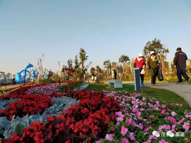 茂名站南公园建成美到你不敢相信