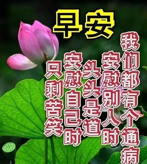 2021春天温馨的早上好问候语图片带字2021最新早安免打字祝福表情图片