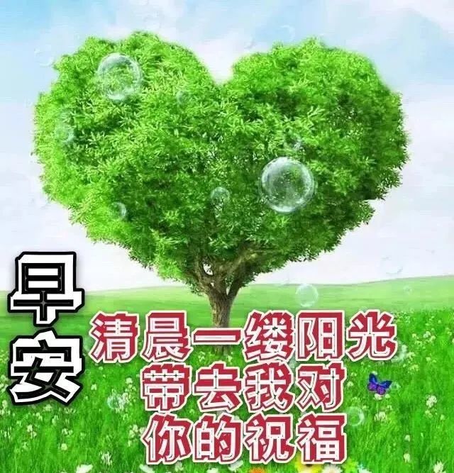 2021春天溫馨的早上好問候語圖片帶字2021最新早安免打字祝福表情圖片