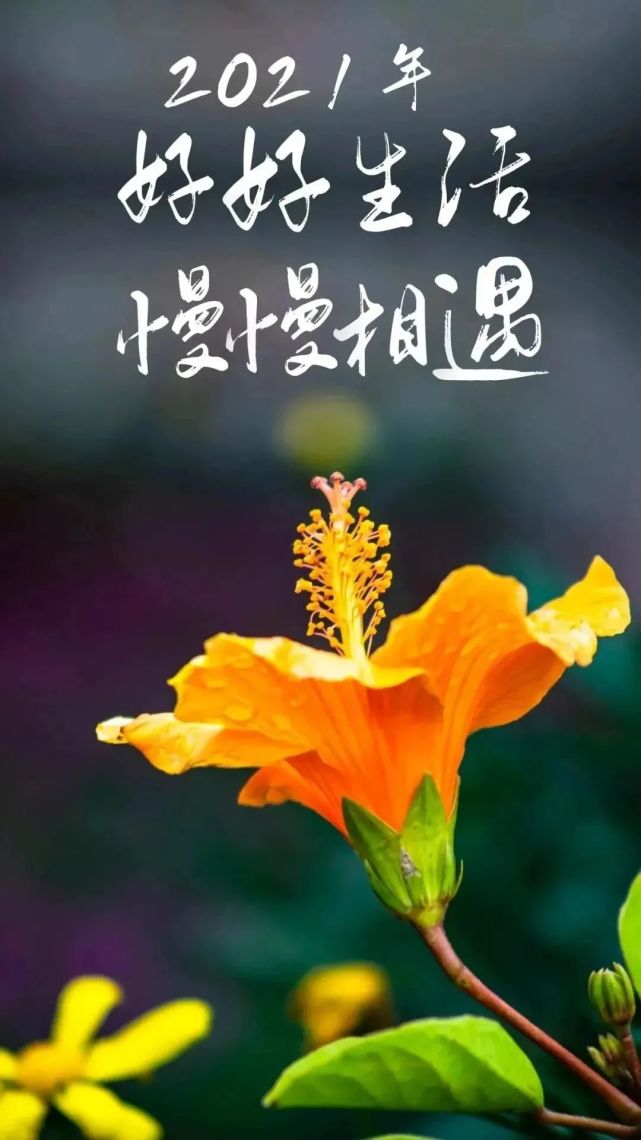 2021感恩遇见感恩有你