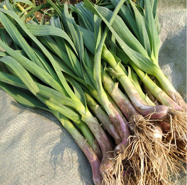 明日立春,最该多吃这"4绿2白",少食2样,应季而食,家人都受益