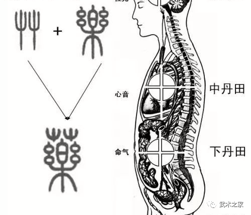 氣到夾脊的討論及虎形練法