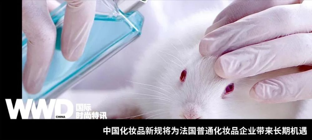 深度报道丨一则化妆品新规将如何搅动价值千亿的中国化妆品市场