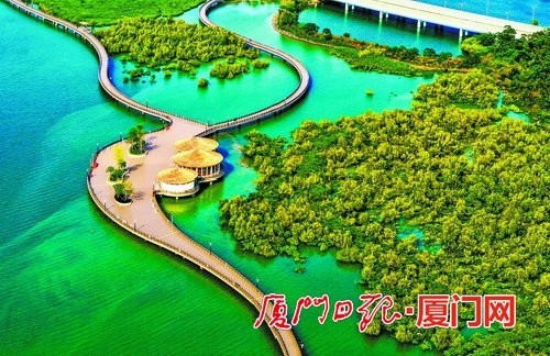 下潭尾湿地公园红树林种植面积达85万平方米.