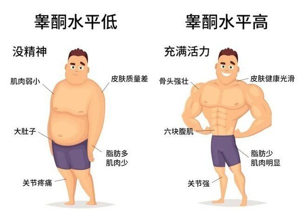 男生标准体脂率图片