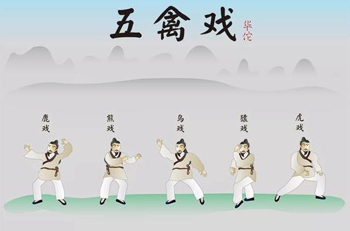 居家防疫快学五禽戏让科学运动发挥良医功效