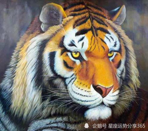 属虎的几岁 2021年生肖虎运势怎么样