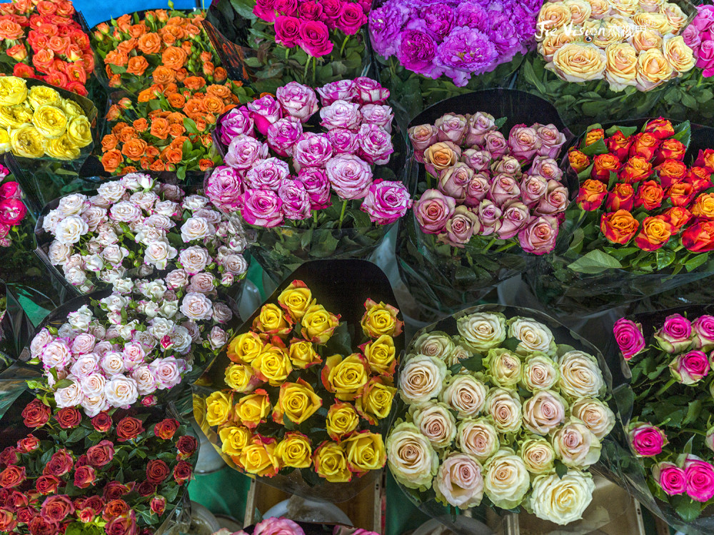 春节网购花卉全攻略走进斗南花卉市场寻一手鲜花拒绝挨宰