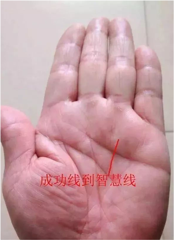 手相:你有成功线吗?_腾讯新闻