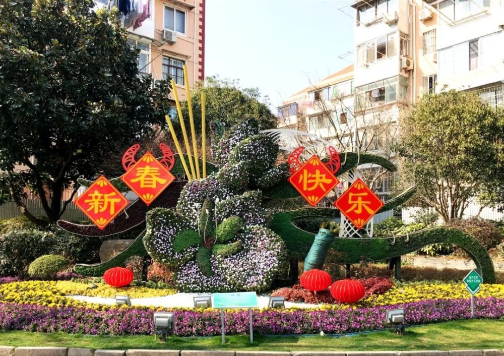 (友谊路友谊支路)浦东新区陆家嘴花坛临港新片区暖人的红色,驱散了