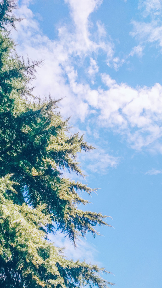 校园风手机壁纸_腾讯新闻