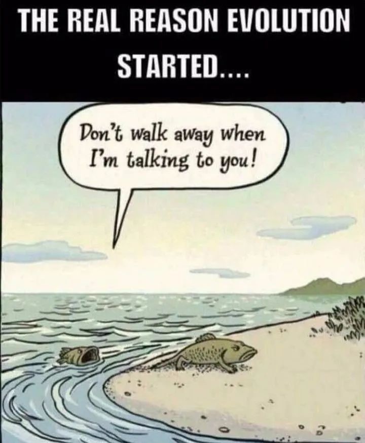 新生代|人类传承了4亿年前鱼祖先的登陆绝技，新生代鱼却把它们弄丢了