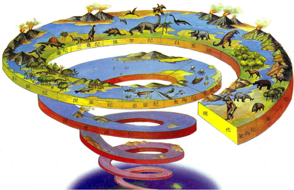 新生代|人类传承了4亿年前鱼祖先的登陆绝技，新生代鱼却把它们弄丢了