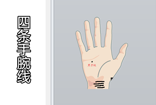 手腕链条状手纹图解图片