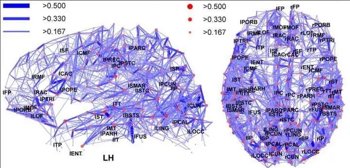 大脑|如果可以永生，你会选择什么样的方式存在呢？