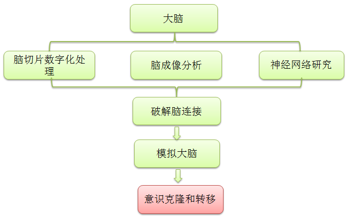 大脑|如果可以永生，你会选择什么样的方式存在呢？