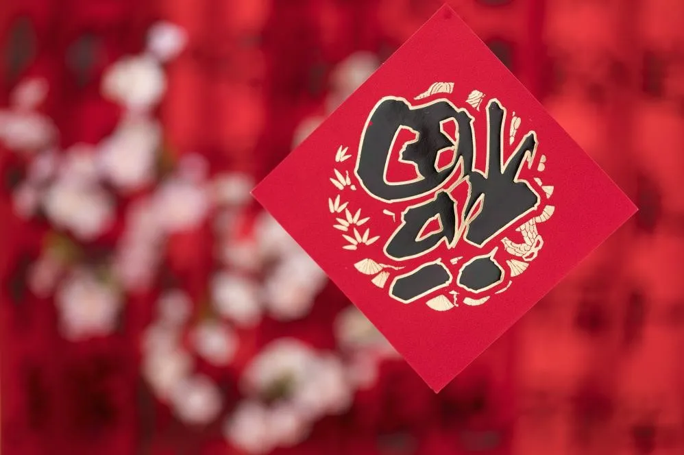 实力圈粉!看留苏老师们如何花式过年